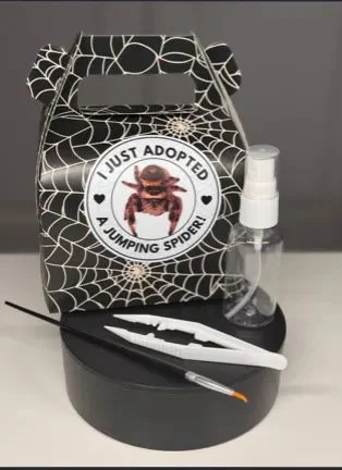 Care kit: spider-web gift box, mister bottle, paintbrush, and tweezers