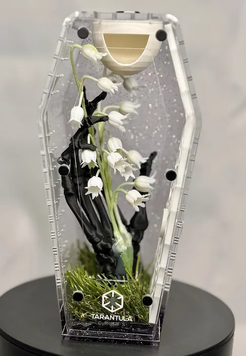 Enclosure with a fortune teller table, crystal ball, and gold bones