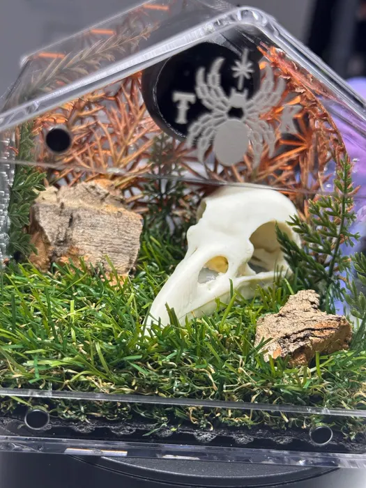 Enclosure with a ram skull and copper foliage