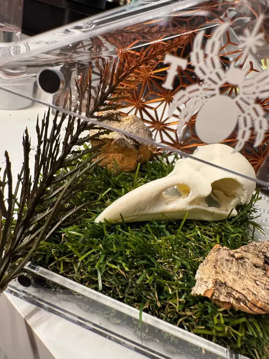 Enclosure with a bird skull, moss, and dark foliage