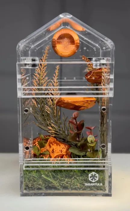 Autumn enclosure with pumpkins and orange foliage