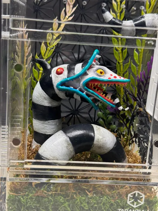Enclosure with a striped Beetlejuice sandworm