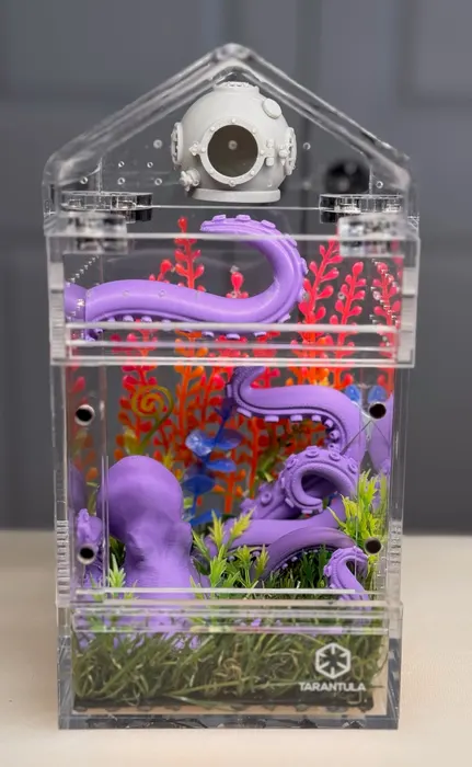 Enclosure with a purple tentacle and red coral