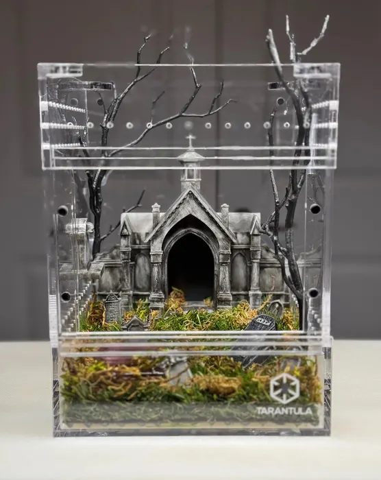 Enclosure with a gothic church and bare trees