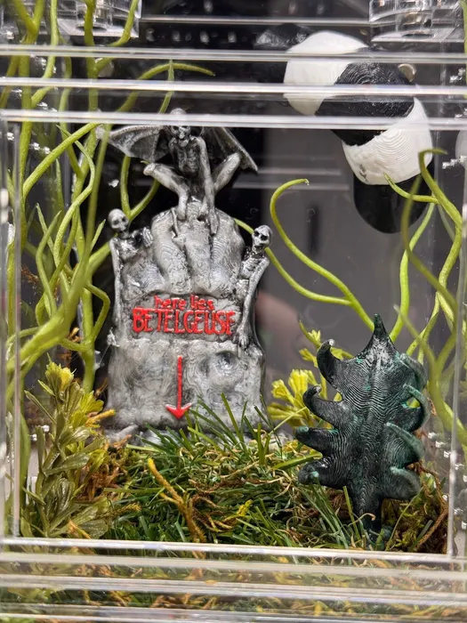 Graveyard enclosure with a zombie hand and tombstone