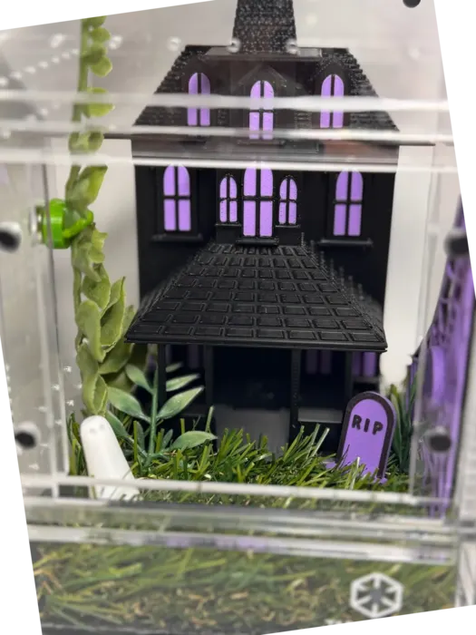 House enclosure with a mansion and purple windows