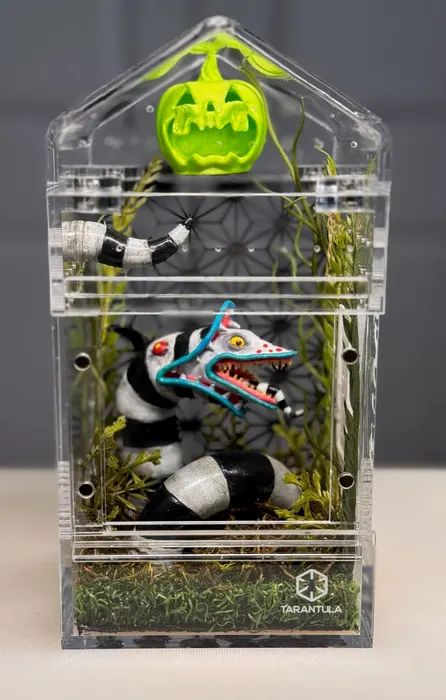 Enclosure with a striped sandworm and pumpkin